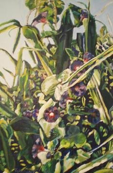 Cornstalks and Morning Glory.jpg